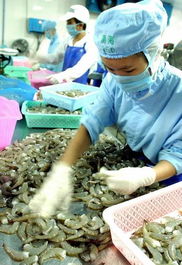 海南水產出口猛增 解鎖熱帶水產“黃金密碼”